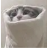 血小板